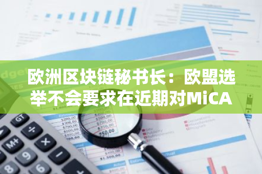 欧洲区块链秘书长：欧盟选举不会要求在近期对MiCA进行修改