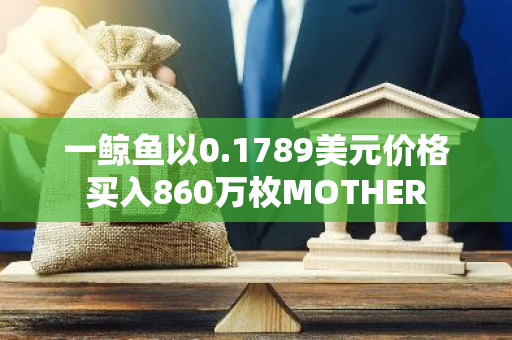 一鲸鱼以0.1789美元价格买入860万枚MOTHER