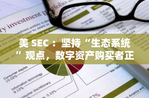 美 SEC ：坚持“生态系统”观点，数字资产购买者正在“购买某种东西”