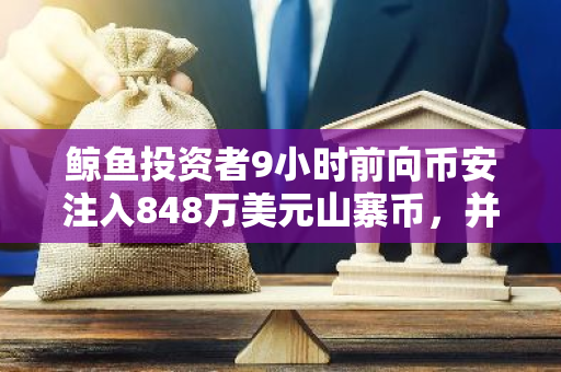 鲸鱼投资者9小时前向币安注入848万美元山寨币，并购买244万美元稳定币