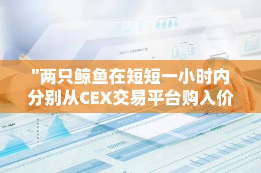"两只鲸鱼在短短一小时内分别从CEX交易平台购入价值850万美元的UNI和216万美元的BLZ"