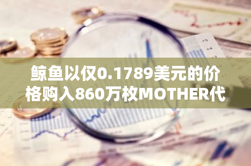 鲸鱼以仅0.1789美元的价格购入860万枚MOTHER代币，引发市场关注