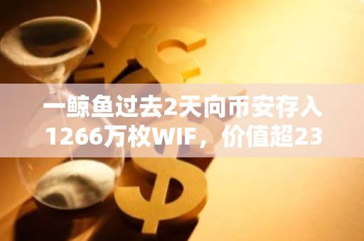 一鲸鱼过去2天向币安存入1266万枚WIF，价值超2300万美元