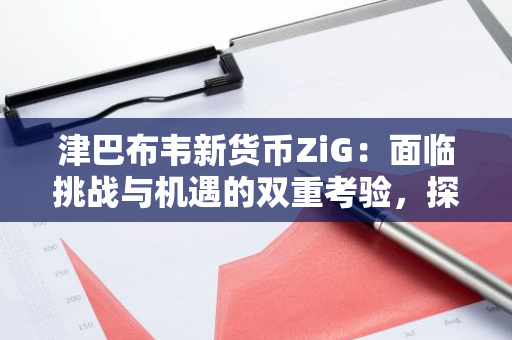 津巴布韦新货币ZiG：面临挑战与机遇的双重考验，探讨未来发展之路