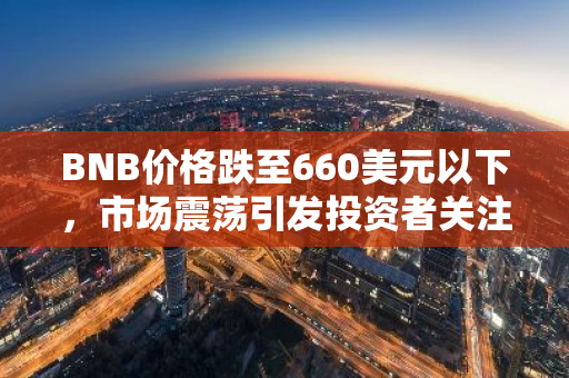 BNB价格跌至660美元以下，市场震荡引发投资者关注与担忧