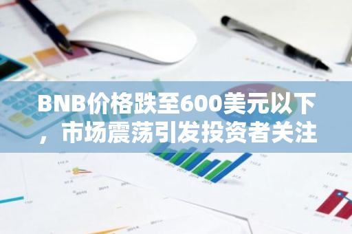 BNB价格跌至600美元以下，市场震荡引发投资者关注与担忧