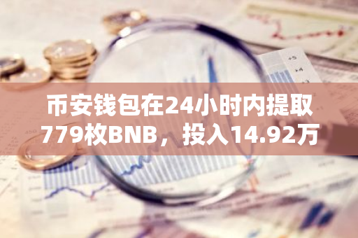 币安钱包在24小时内提取779枚BNB，投入14.92万亿枚WHY购买行为分析