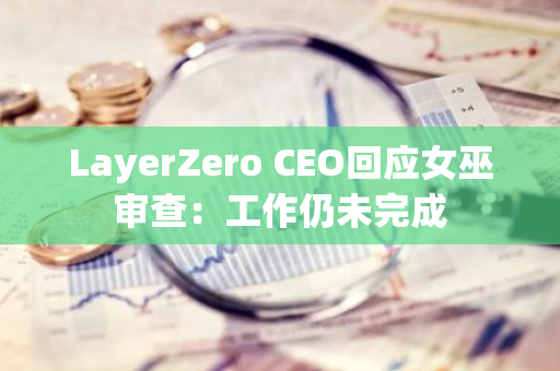 LayerZero CEO回应女巫审查：工作仍未完成