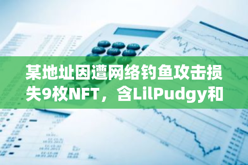 某地址因遭网络钓鱼攻击损失9枚NFT，含LilPudgy和Beanz