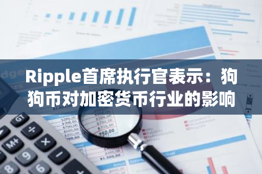 Ripple首席执行官表示：狗狗币对加密货币行业的影响并不积极