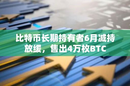 比特币长期持有者6月减持放缓，售出4万枚BTC