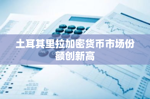 土耳其里拉加密货币市场份额创新高