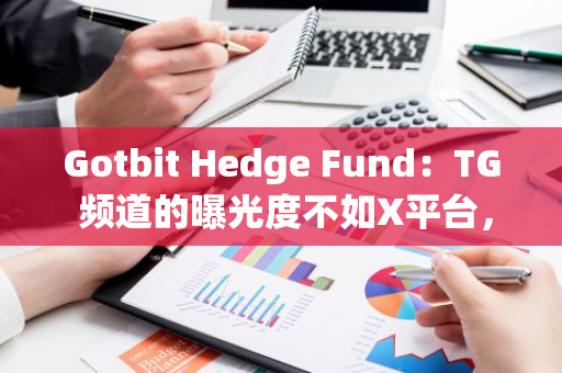 Gotbit Hedge Fund：TG 频道的曝光度不如X平台，需提升市场影响力