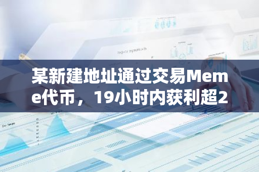 某新建地址通过交易Meme代币，19小时内获利超250万美元