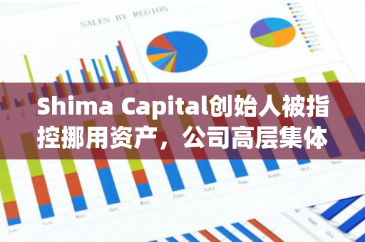 Shima Capital创始人被指控挪用资产，公司高层集体离职引发关注