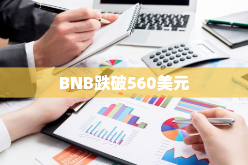 BNB跌破560美元