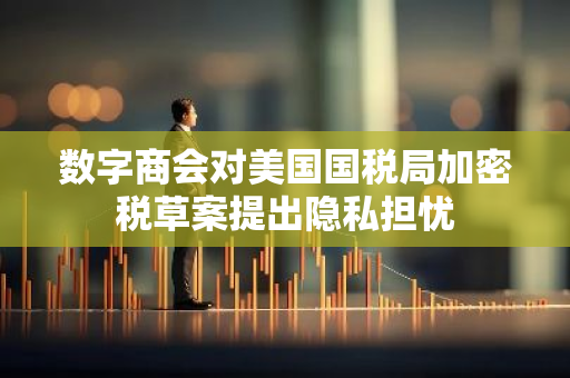 数字商会对美国国税局加密税草案提出隐私担忧