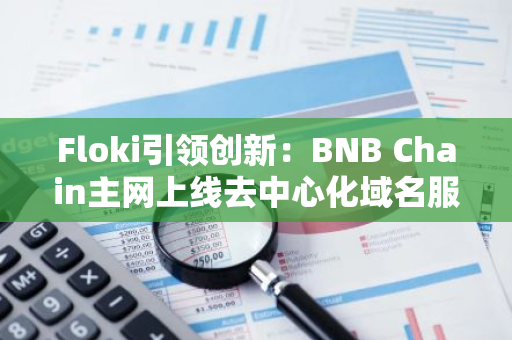 Floki引领创新：BNB Chain主网上线去中心化域名服务，开启区块链新纪元