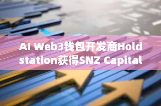 AI Web3钱包开发商Holdstation获得SNZ Capital、Summer Ventures和EVG Ventures的投资