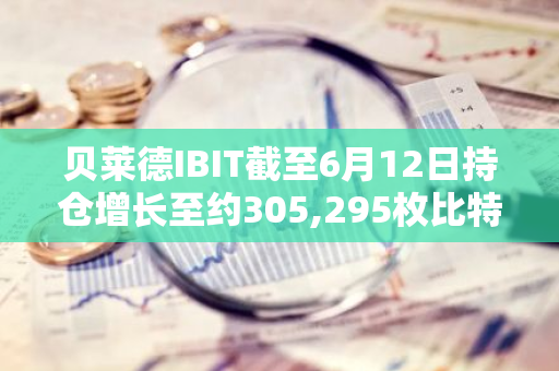 贝莱德IBIT截至6月12日持仓增长至约305,295枚比特币