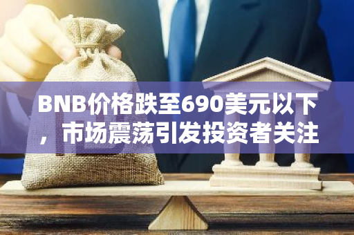 BNB价格跌至690美元以下，市场震荡引发投资者关注与担忧