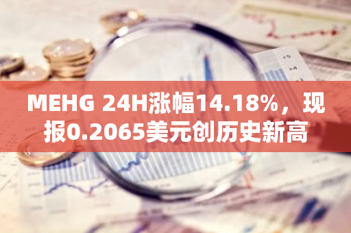 MEHG 24H涨幅14.18%，现报0.2065美元创历史新高