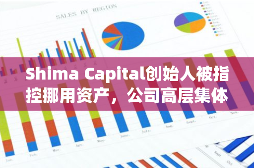 Shima Capital创始人被指控挪用资产，公司高层集体辞职引发行业关注