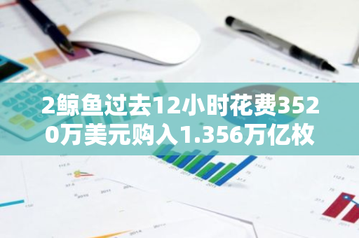 2鲸鱼过去12小时花费3520万美元购入1.356万亿枚SHIB