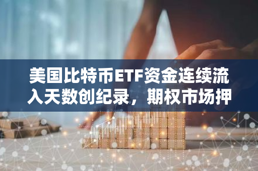 美国比特币ETF资金连续流入天数创纪录，期权市场押注比特币本月会新高