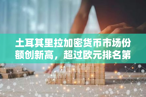 土耳其里拉加密货币市场份额创新高，超过欧元排名第三