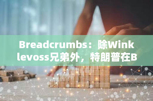 Breadcrumbs：除Winklevoss兄弟外，特朗普在Base等3个区块链上“筹集”的加密捐款价值不足6万美元