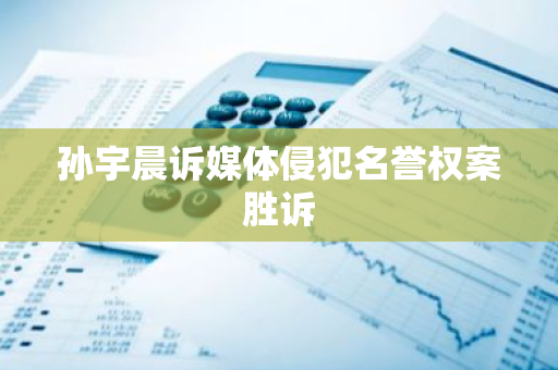 孙宇晨诉媒体侵犯名誉权案胜诉