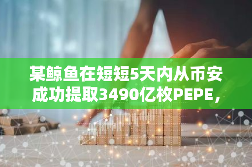某鲸鱼在短短5天内从币安成功提取3490亿枚PEPE，价值高达521万美元