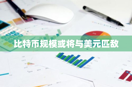 比特币规模或将与美元匹敌