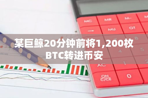 某巨鲸20分钟前将1,200枚BTC转进币安