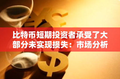 比特币短期投资者承受了大部分未实现损失：市场分析与展望