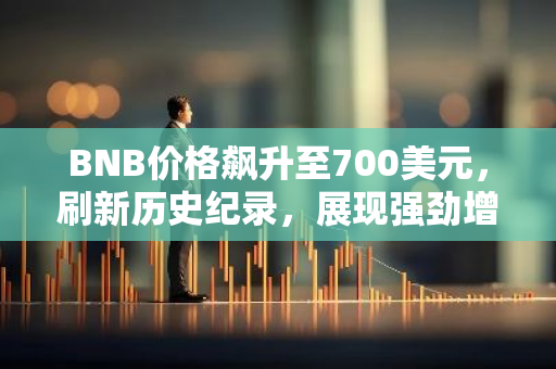 BNB价格飙升至700美元，刷新历史纪录，展现强劲增长势头