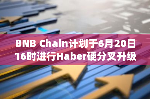 BNB Chain计划于6月20日16时进行Haber硬分叉升级，opBNB主网将受益