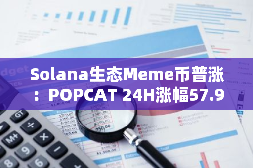 Solana生态Meme币普涨：POPCAT 24H涨幅57.9%