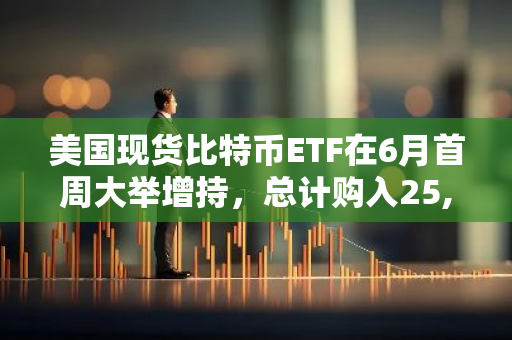 美国现货比特币ETF在6月首周大举增持，总计购入25,700枚BTC