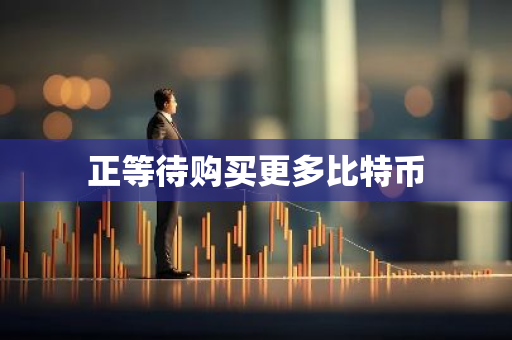 正等待购买更多比特币