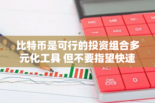 比特币是可行的投资组合多元化工具 但不要指望快速获利