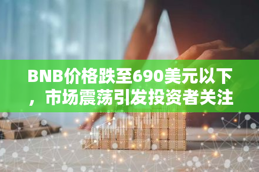 BNB价格跌至690美元以下，市场震荡引发投资者关注与担忧
