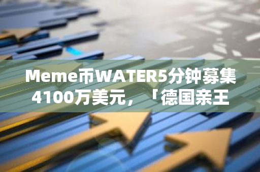 Meme币WATER5分钟募集4100万美元，「德国亲王」与Gotbit联手再收割？