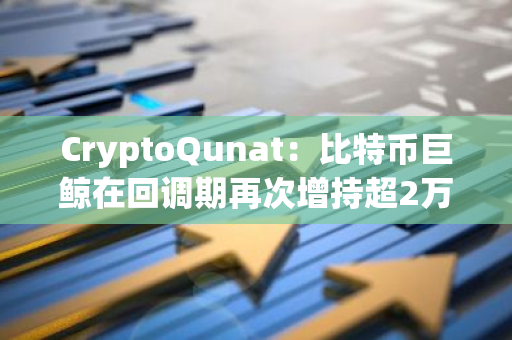 CryptoQunat：比特币巨鲸在回调期再次增持超2万枚BTC