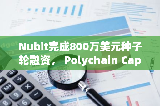 Nubit完成800万美元种子轮融资， Polychain Capital领投