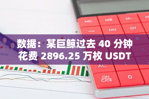 数据：某巨鲸过去 40 分钟花费 2896.25 万枚 USDT 买进 8633 枚 ETH