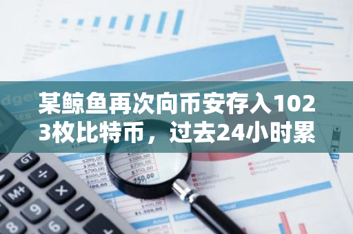 某鲸鱼再次向币安存入1023枚比特币，过去24小时累计存入1723枚