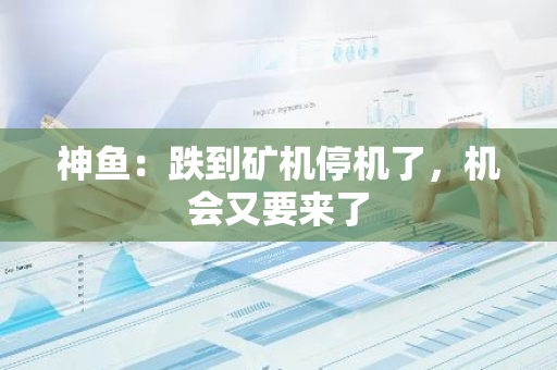 神鱼：跌到矿机停机了，机会又要来了