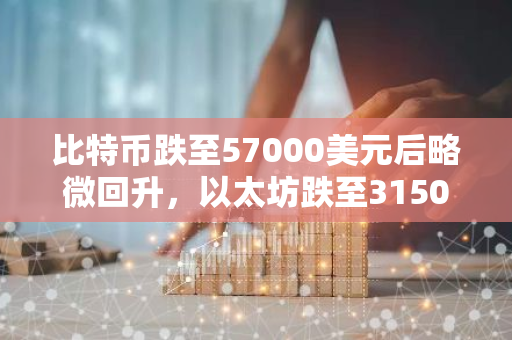 比特币跌至57000美元后略微回升，以太坊跌至3150美元附近